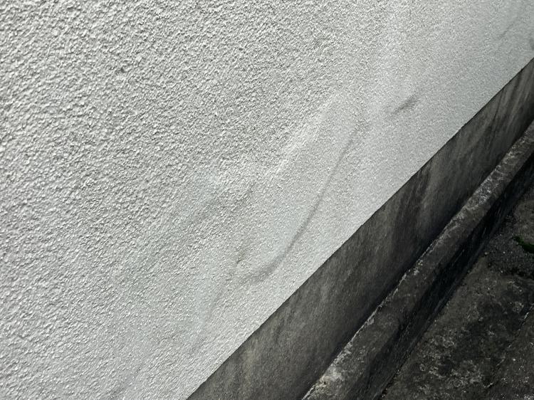 塀塗装の施工事例